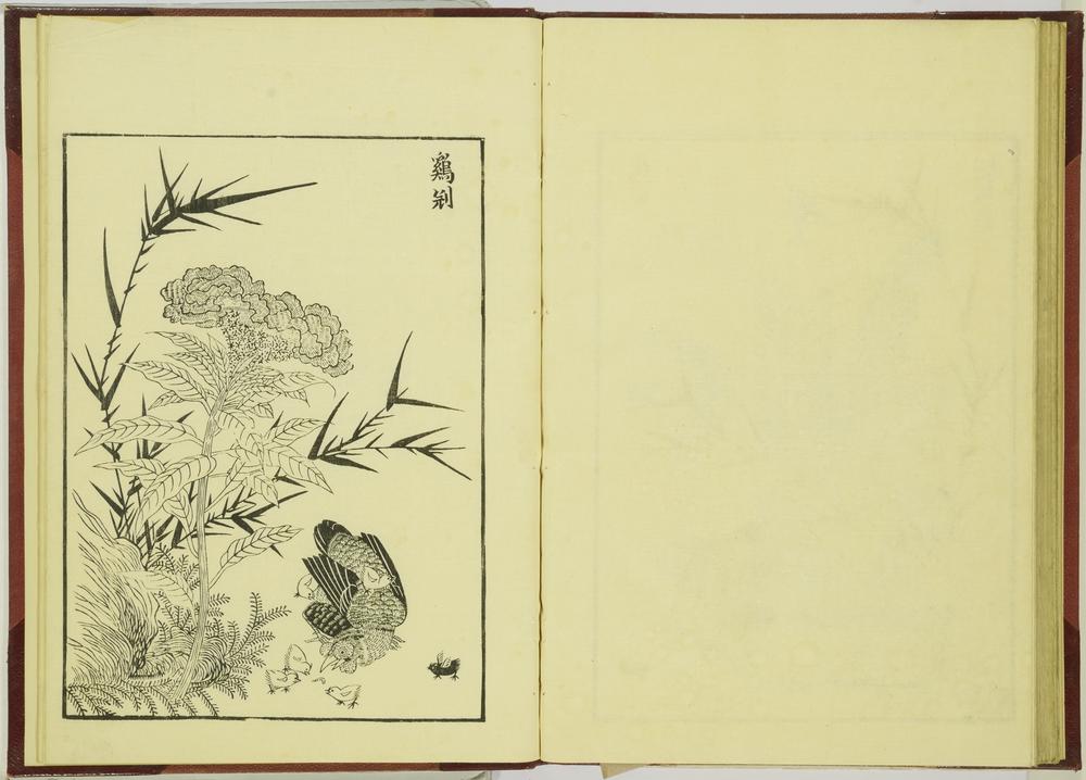 图片[50]-illustrated book; print BM-1915-0823-0.242-China Archive